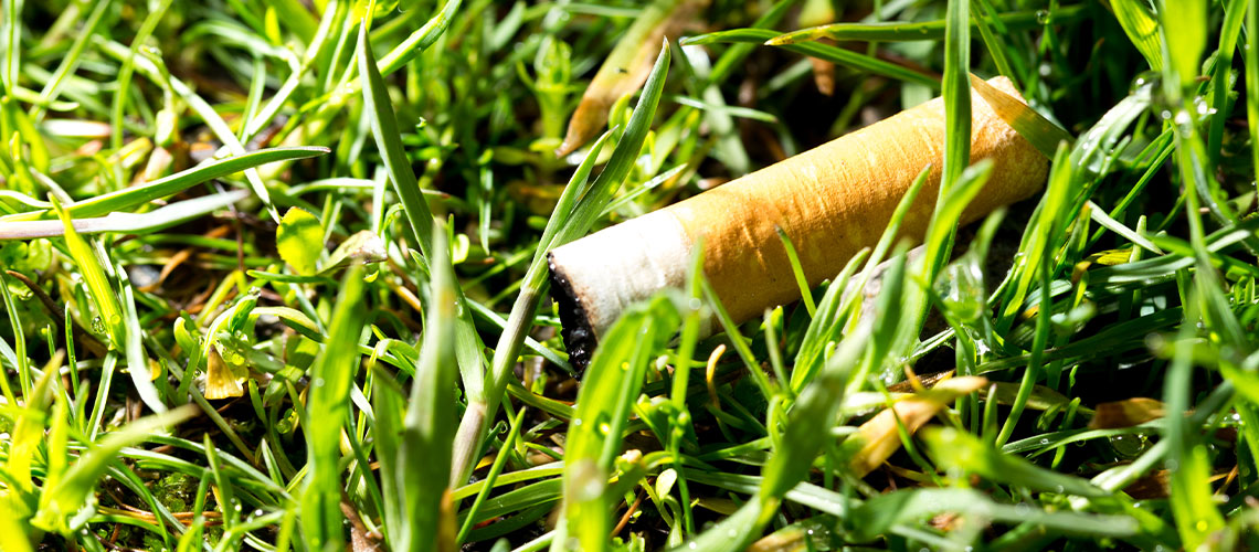 Cigaretskod ligger i græs