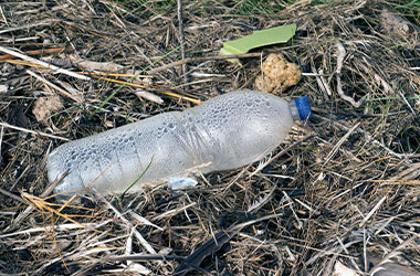Plastflaske ligger i naturen