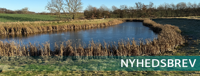 Regnvandsbassin i Voldum samt teksnten 