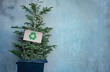 Jule med genbrugsskilt står i affaldsbeholder